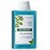 Klorane Detox Shampoo Szampon z organiczną mięta wodną 200ml