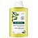 Klorane Purifying Shampoo Oczyszczający szampon do włosów z ekstraktem z cytrusów 200ml