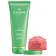 Collistar Zestaw upominkowy intensive firming & reshaping cream 200 ml+ firming & elasticizing talasso-scrub 150g