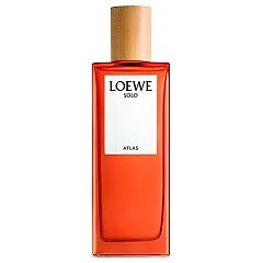 Loewe Loewe Solo Atlas tester 1/1