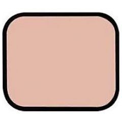 Shiseido Sheer Matifying Compact 1/1