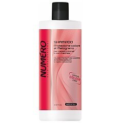 Numero Colour Protection Shampoo with Pomegranate 1/1