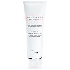 Christian Dior Gentle Foaming Cleanser tester 1/1