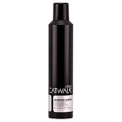 Tigi Catwalk Session Series Work It Hairspray 1/1