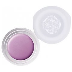 Shiseido Paperlight Cream Eye Color 1/1