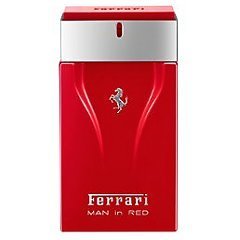 Ferrari Man in Red tester 1/1