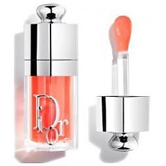 Christian Dior Addict Lip Glow Oil 2025 1/1