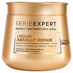 L'Oreal Professionnel Serie Expert Lipidium Absolut Repair Masque 1/1
