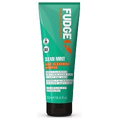 Fudge Clean Mint Deep Cleanising Shampoo 1/1
