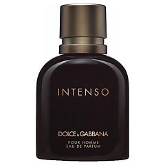Dolce&Gabbana pour Homme Intenso 1/1