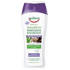 Equilibra Shampoo Phytosinergia 1/1