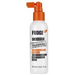 Fudge One Shot Treatment Spray 1/1