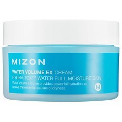 Mizon Water Volume EX Cream 1/1