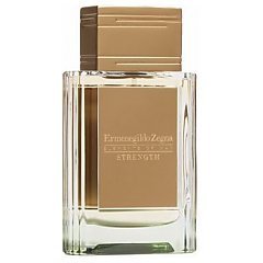 Ermenegildo Zegna Elements Of Man Strength tester 1/1