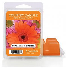 Country Candle Sunshine & Daises Wax 1/1