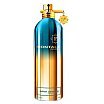 Montale Aoud Lagoon Woda perfumowana spray 100ml