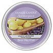Yankee Candle Melt Cup Scenterpiece Wosk do kominka elektrycznego 61g Lemon Lavender