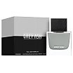 Aurora Scents Grey Ash Woda perfumowana spray 80ml