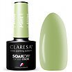 Claresa Soak Off UV/LED Color Lakier hybrydowy do paznokci 5g 1 Mint