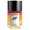 Loewe Paula's Ibiza Cosmic tester Woda perfumowana spray 100ml