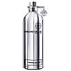Montale Fougeres Marines tester Woda perfumowana spray 100ml