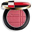 Shiseido Color + Glow Enhancer Wielozadaniowy kosmetyk do makijażu oczu i twarzy7,2g 05 Red Ruby