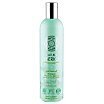 Natura Siberica Professional Anti-Dandruff Shampoo Przeciwłupieżowy szampon do włosów 400ml