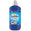Coccolino Creations Fabric Conditioner Płyn do płukania tkanin 1450ml Passion Flower & Bergamot
