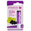 Benecos Natural Lip Balm Naturalny balsam do ust z czarną porzeczką 4,8g