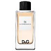 Dolce&Gabbana D&G Anthology La Temperance 14 tester Woda toaletowa spray 100ml