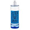 Brave Soul Brave Soul Blue tester woda toaletowa spray 100ml