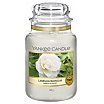 Yankee Candle Świeca zapachowa 623g Camellia Blossom