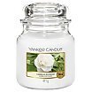 Yankee Candle Świeca zapachowa 411g Camellia Blossom
