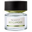 BMW The Scent of Bergamood Woda perfumowana spray 100ml