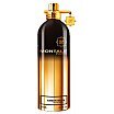 Montale Amber Musk tester Woda perfumowana spray 100ml