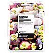 Superfood For Skin Balancing Sheet Mask Normalizująca maseczka do twarzy 25ml Mangostan